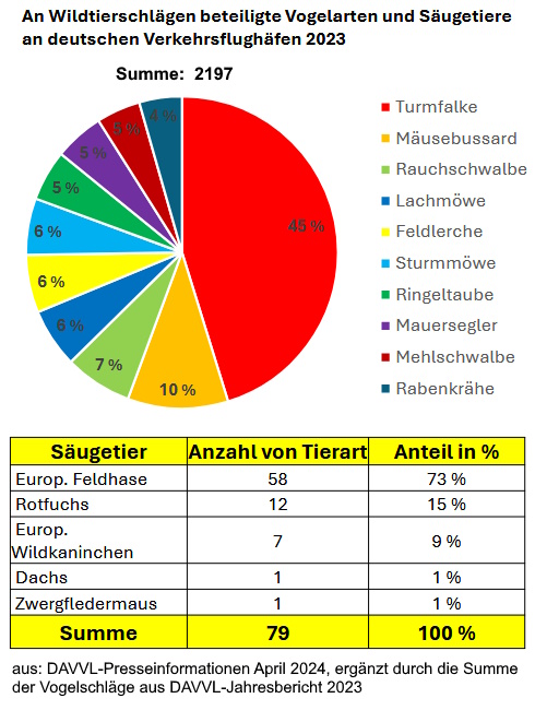 Grafik